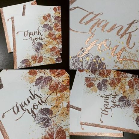 14495269_1511763588850042_7752598365783816991_n